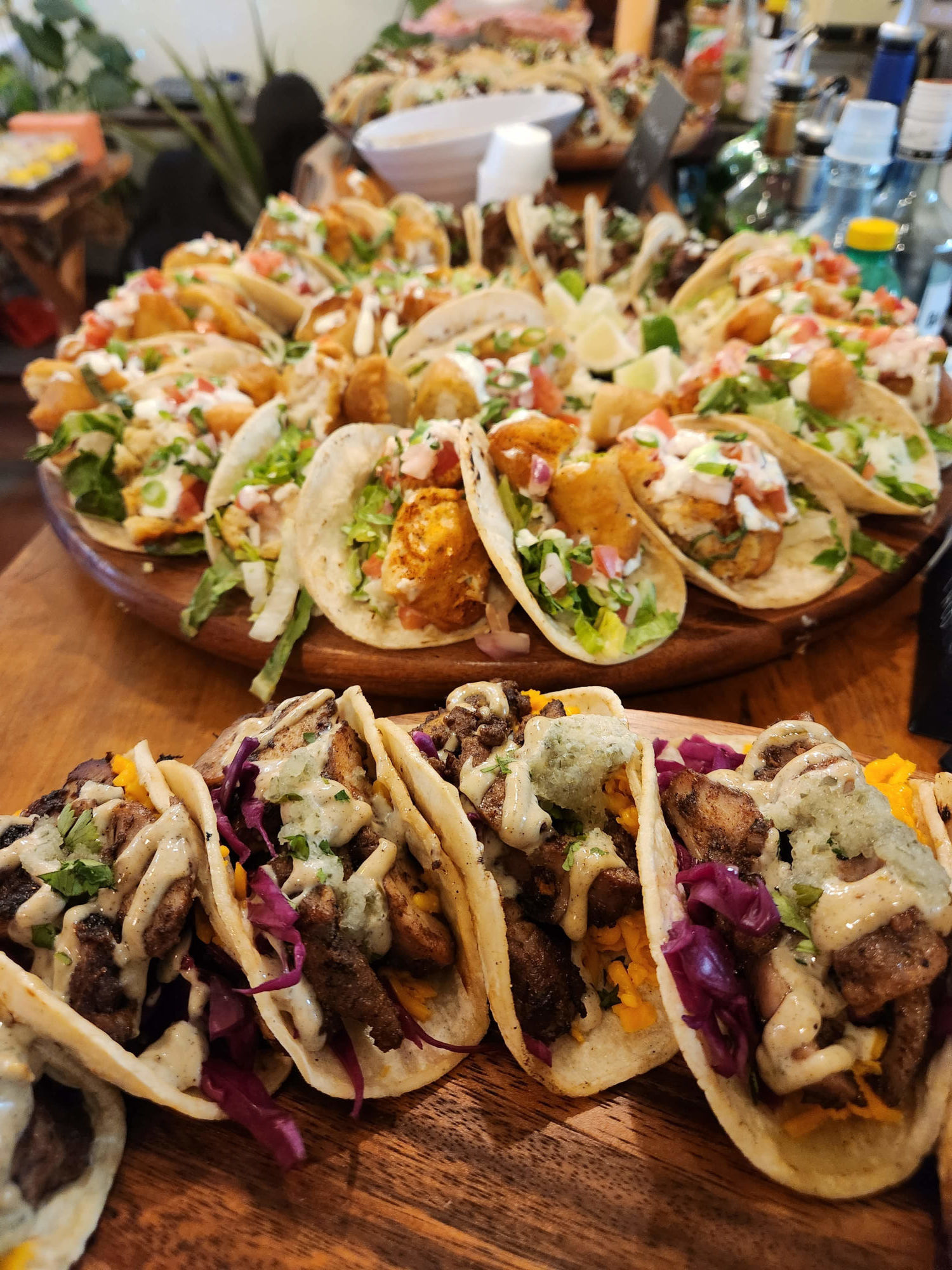 Irresistible Appetizers - Nachos, Poppers, Fries